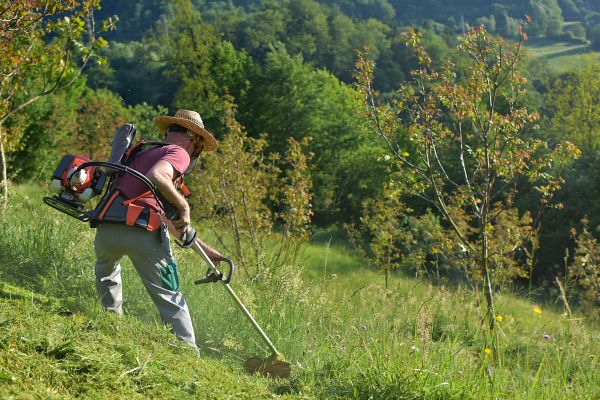 Cost of Slope Trimming in Dubuque